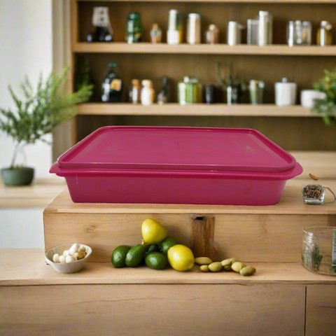 Olive Liberty 111 Container & Lid 4.5lt