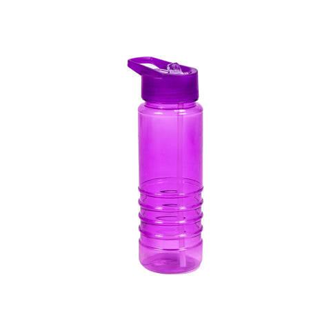 Bottle with Lid & Straw 650ml