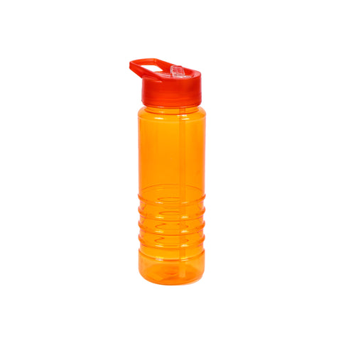 Bottle with Lid & Straw 650ml