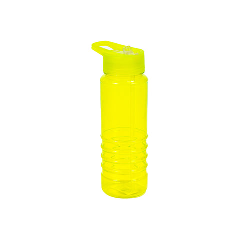 Bottle with Lid & Straw 650ml