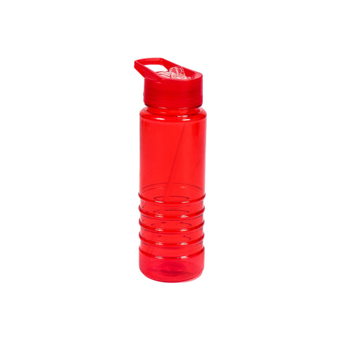 Bottle with Lid & Straw 650ml