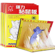 Mouse Trap Glue Card